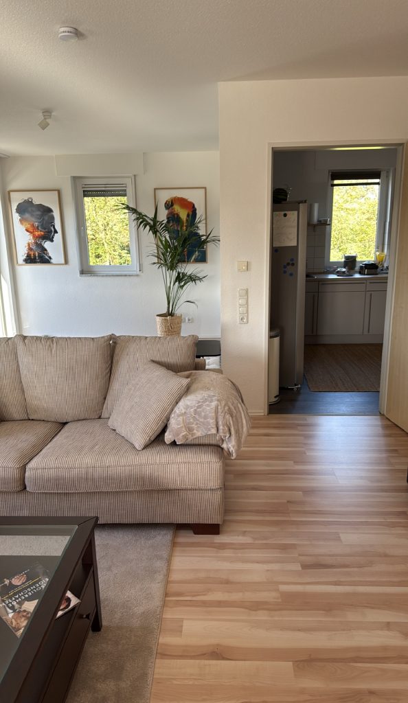 Gebäudereinigung Köln professionelle Fensterreinigung von Simurg Reinigung